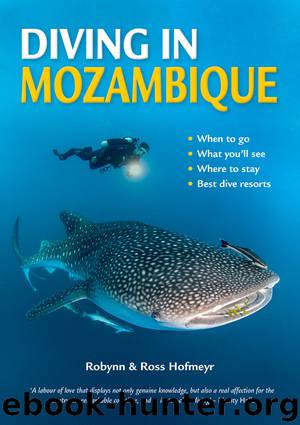 Diving in Mozambique by Robynn ; Ross Hofmeyr