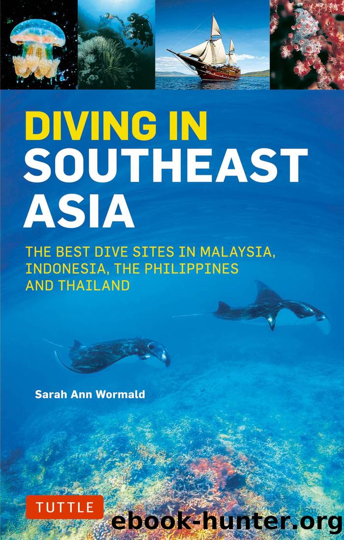 Diving in Southeast Asia: A Guide to the Best Sites in Indonesia, Malaysia, the Philippines and Thailand by Sarah Ann Wormald & David Espinosa & Heneage Mitchell & Kal Muller & Fiona Nichols & John Williams