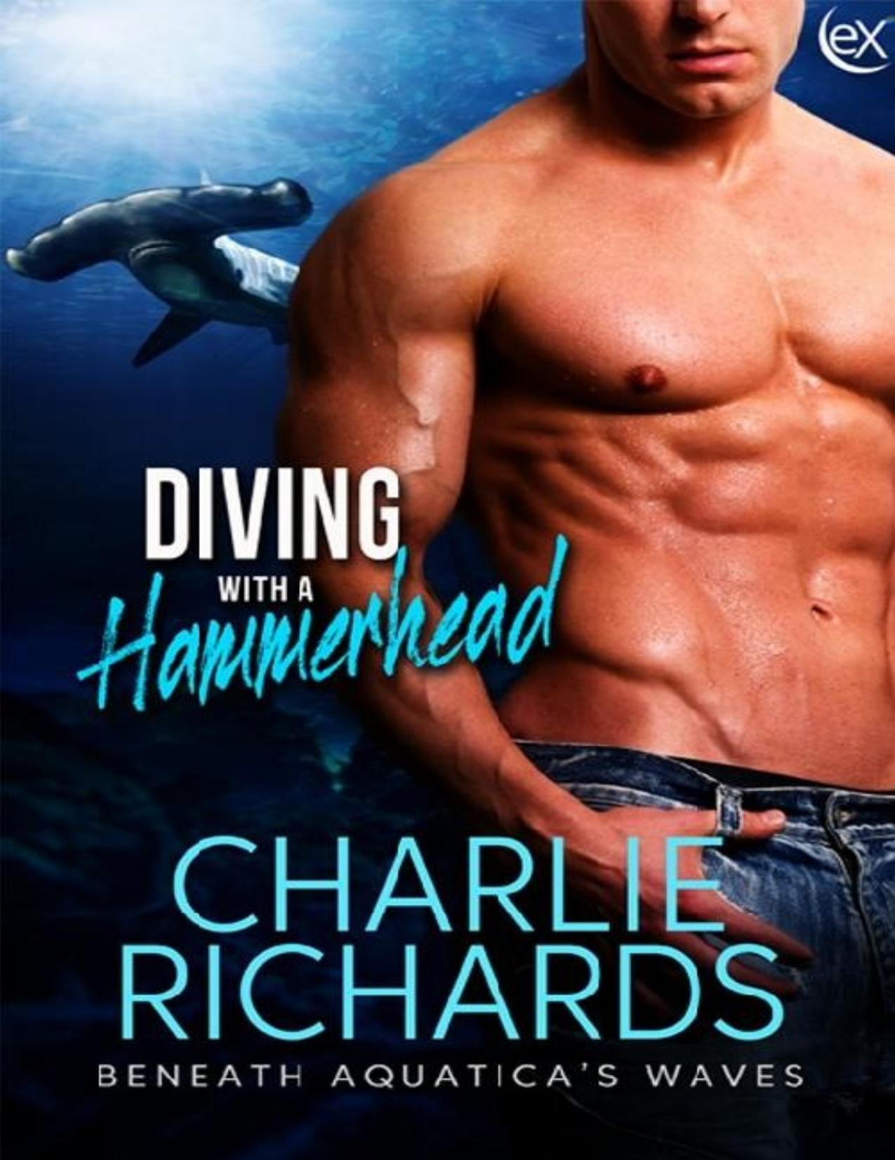 Diving with a Hammerhead by Charlie Richards