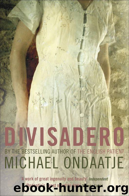 Divisadero by Michael Ondaatje
