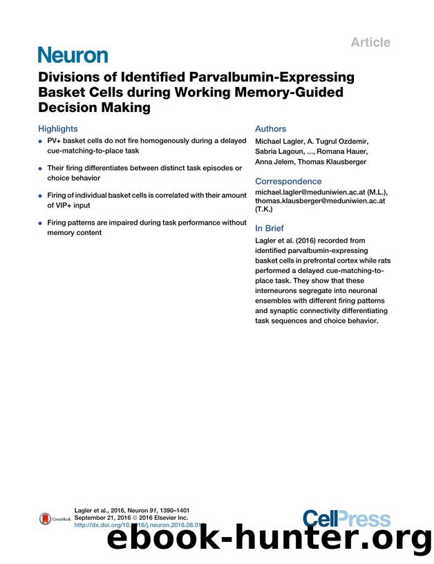 Divisions of Identified Parvalbumin-Expressing Basket Cells during Working Memory-Guided Decision Making by unknow