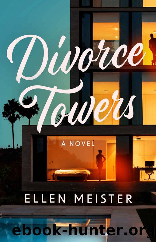 Divorce Towers by Meister Ellen