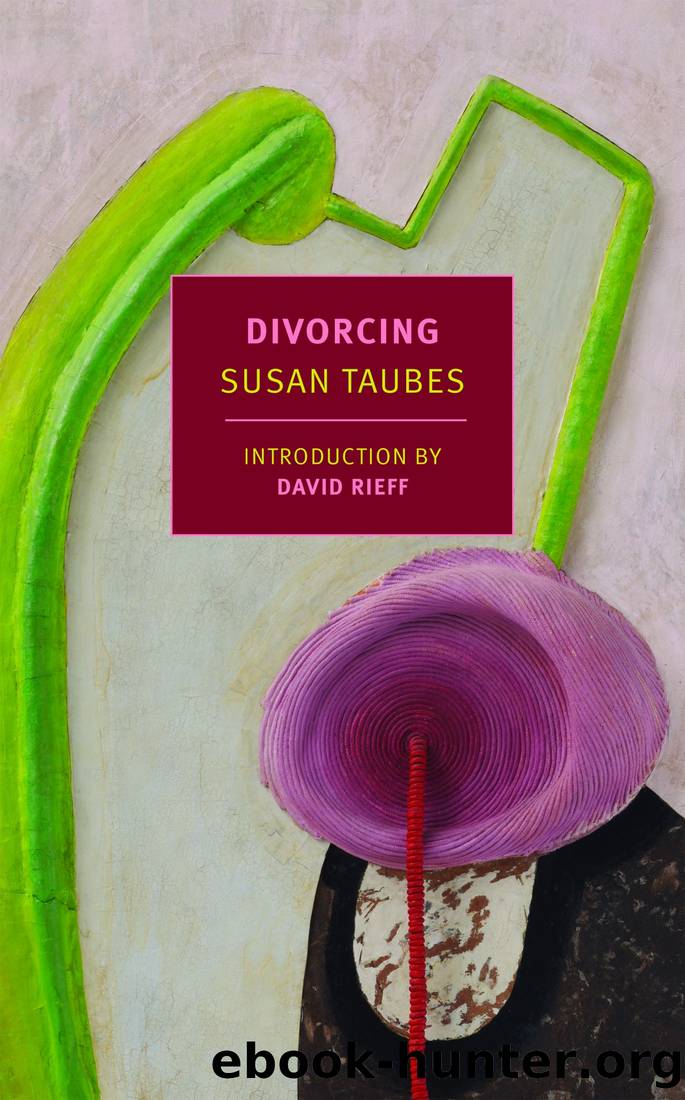Divorcing by Susan Taubes