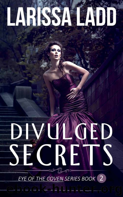 Divulged Secrets by Larissa Ladd
