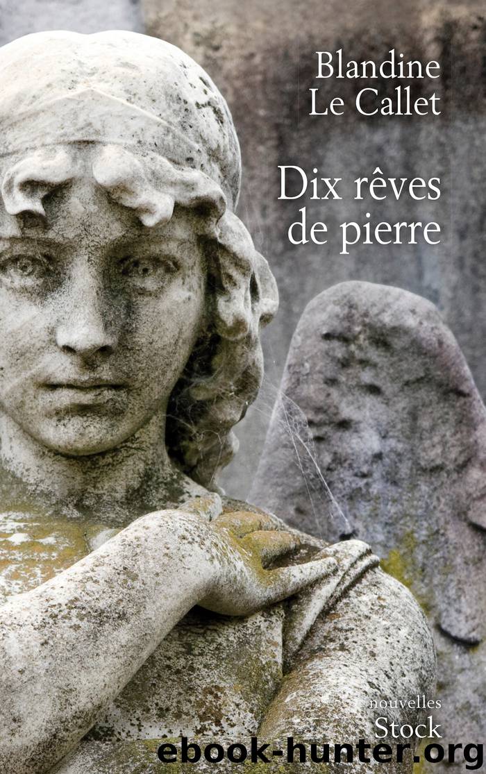 Dix rêves de pierre by Blandine Le Callet