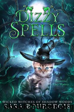 Dizzy Spells (Wicked Witches of Shadow Woods Book 4) by Sara Bourgeois