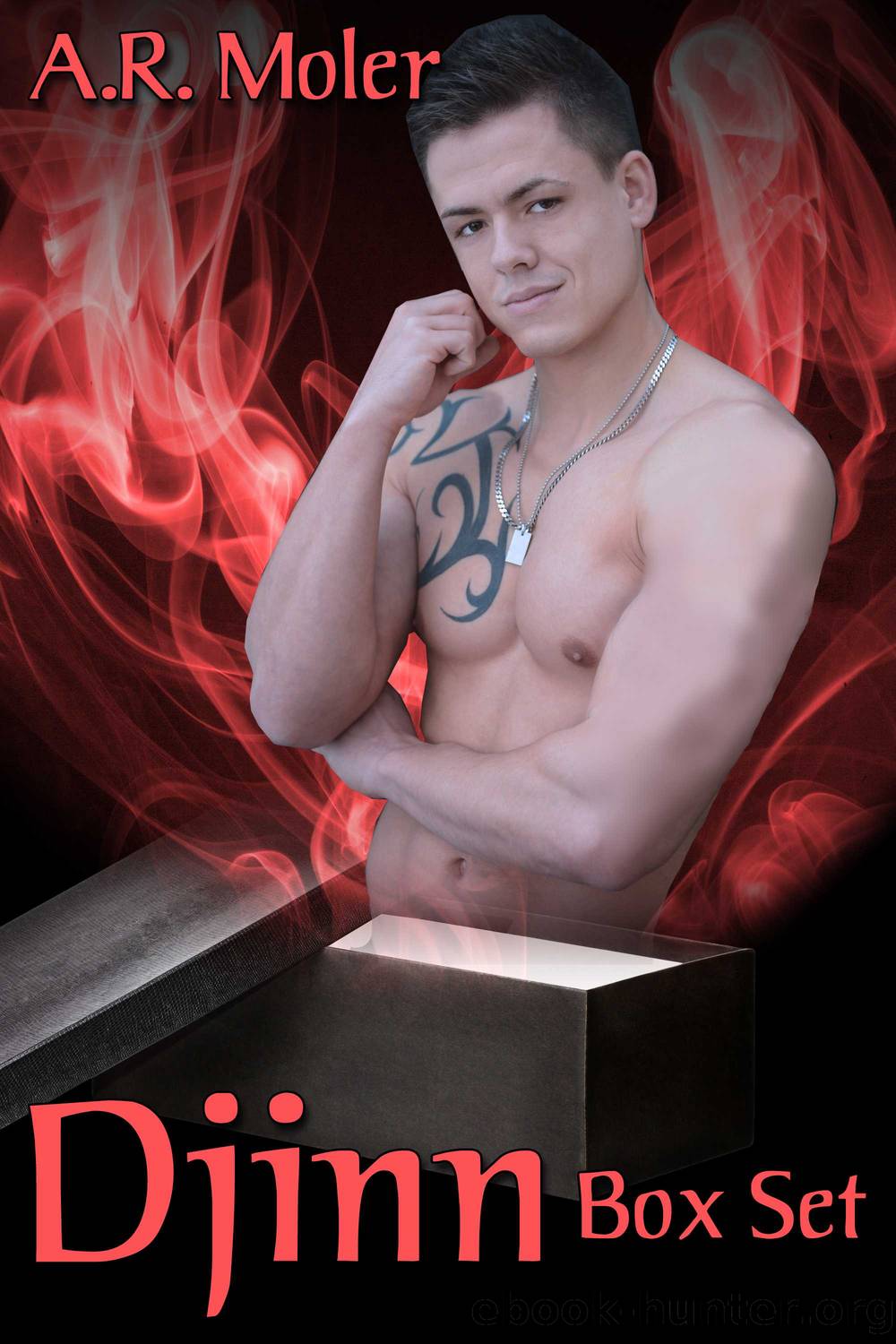Djinn Box Set by A.R. Moler