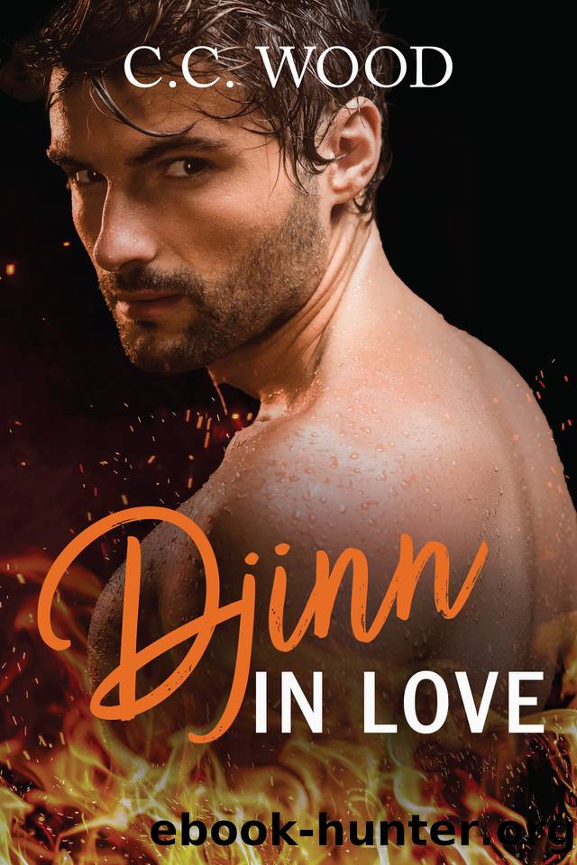 Djinn in Love (Mystical Matchmakers Book 4) by C.C. Wood