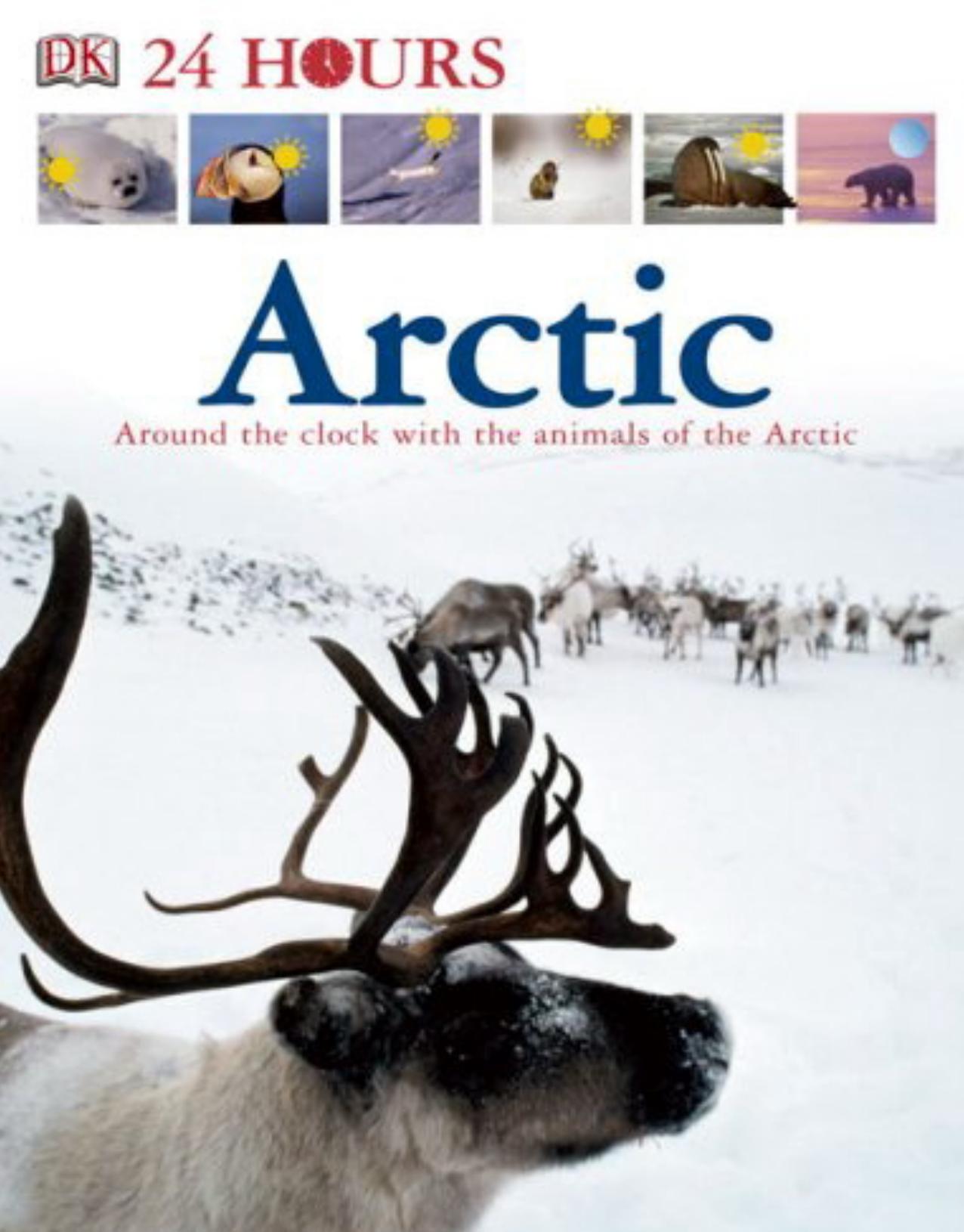 Dk 24 Hours Arctic By Dk Publishing by Unknown