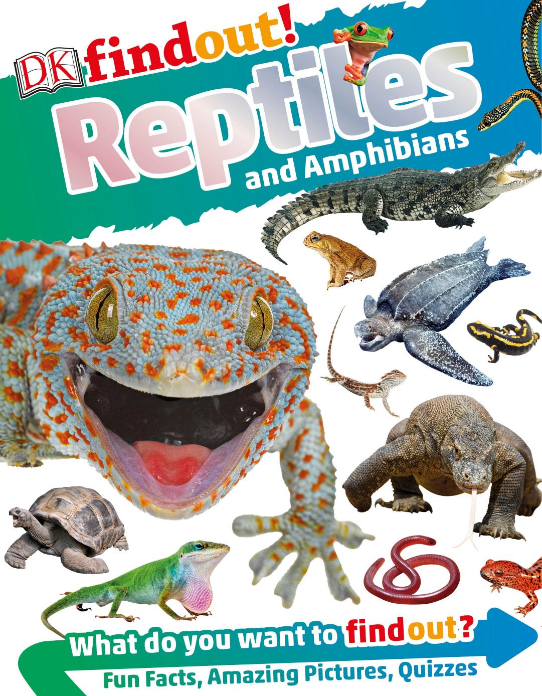 Dkfindout! Reptiles and Amphibians by DK