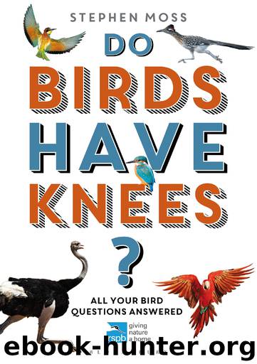 Do Birds Have Knees? by Stephen Moss