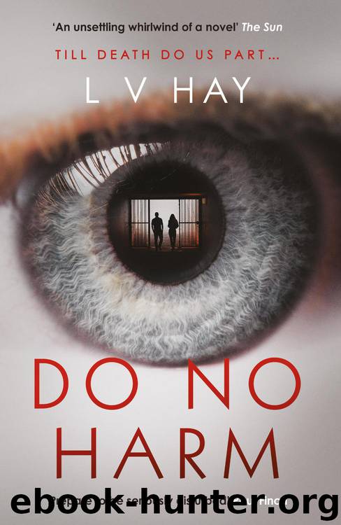Do No Harm by L. V. Hay