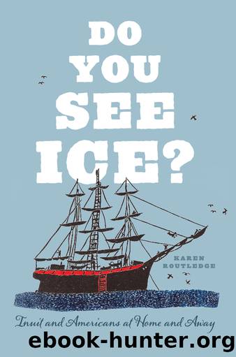 Do You See Ice? by Karen Routledge