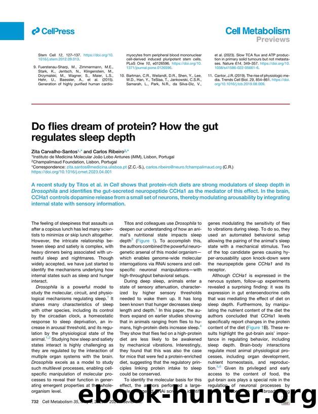 Do flies dream of protein? How the gut regulates sleep depth by Zita Carvalho-Santos & Carlos Ribeiro