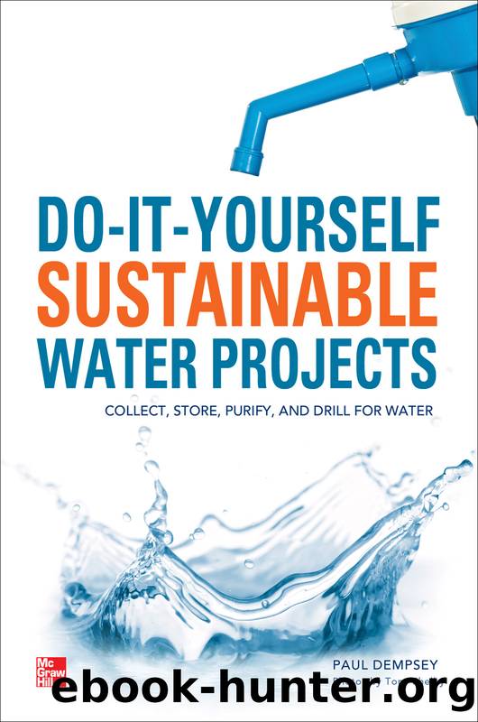Do-It-Yourself Sustainable Water Projects by Paul Dempsey