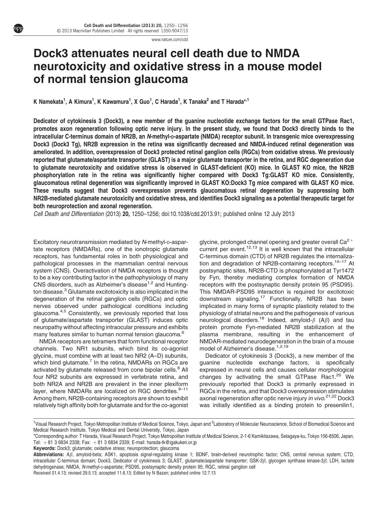 Dock3 attenuates neural cell death due to NMDA neurotoxicity and oxidative stress in a mouse model of normal tension glaucoma by K Namekata & A Kimura & K Kawamura & X Guo & C Harada & K Tanaka & T Harada