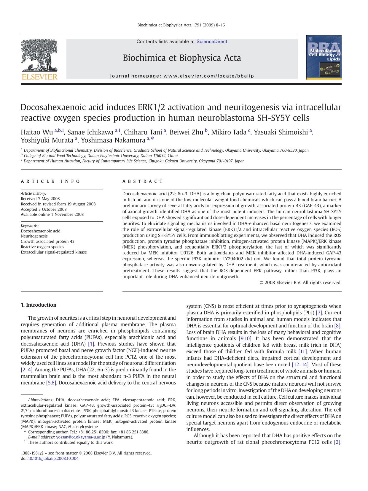 Docosahexaenoic acid induces ERK12 activation and neuritogenesis via intracellular reactive oxygen species production in human neuroblastoma SH-SY5Y cells by unknow