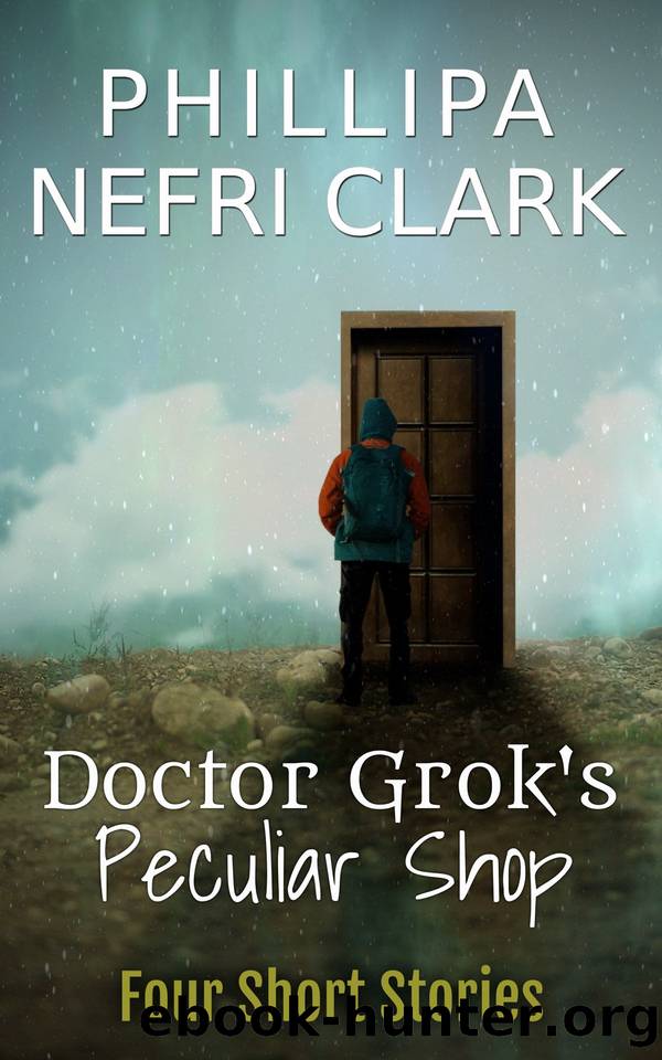 Doctor Grok's Peculiar Shop by Phillipa Nefri Clark