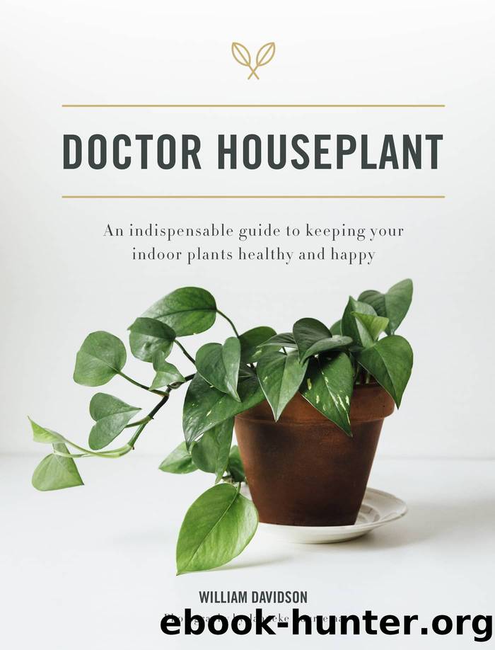 Doctor Houseplant by William Davidson