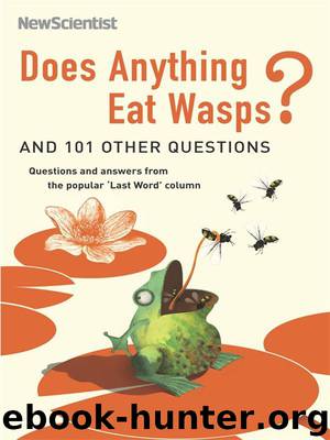 Does Anything Eat Wasps? (New Scientist) by Scientist New