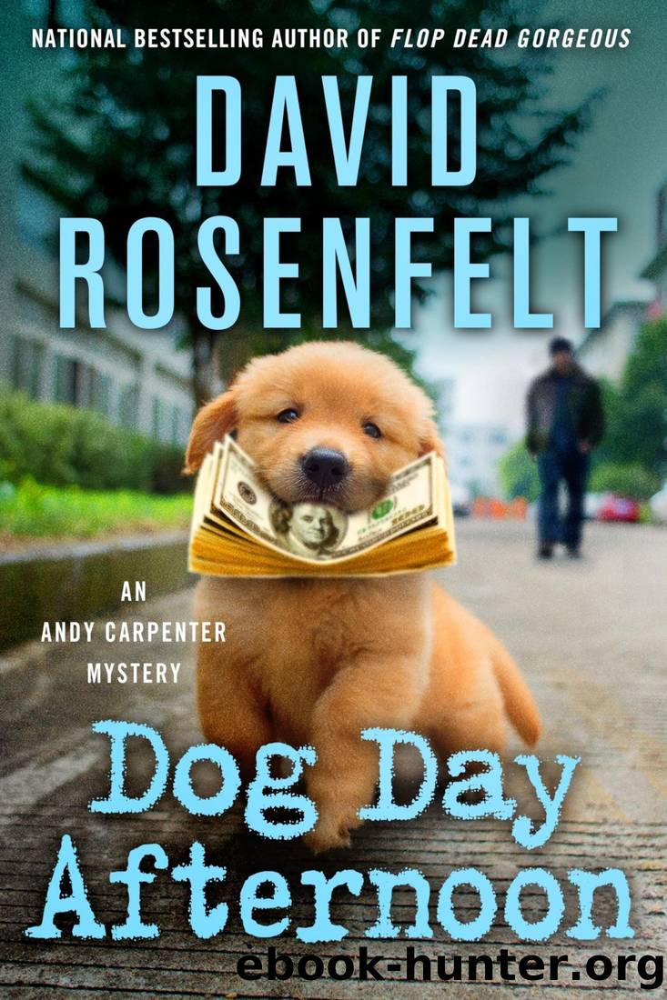Dog Day Afternoon: An Andy Carpenter Mystery by David Rosenfelt
