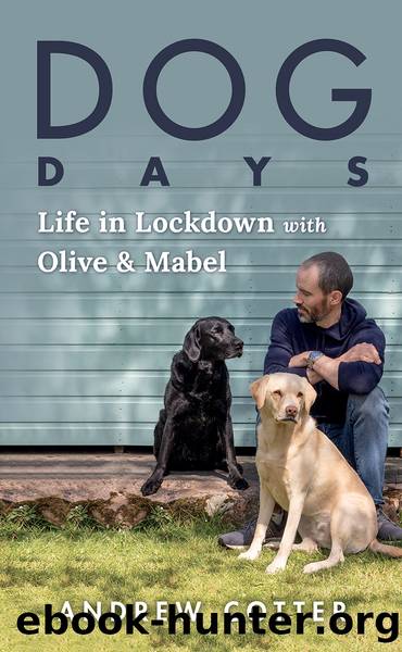 Dog Days by Andrew Cotter