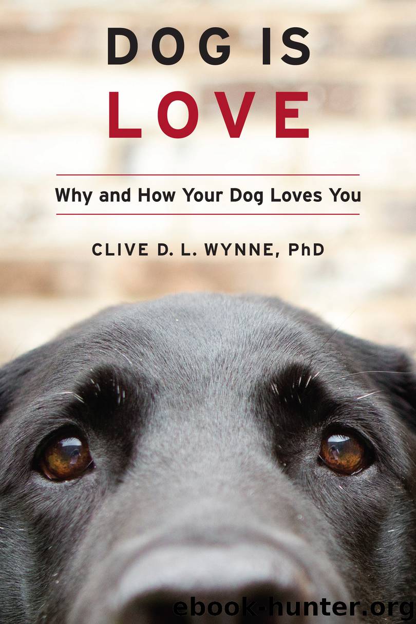 Dog Is Love by Clive D.L. Wynne