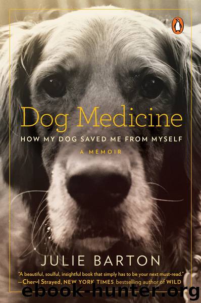 Dog Medicine by Julie Barton