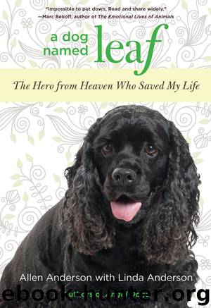 Dog Named Leaf by Allen Anderson