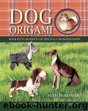 Dog Origami by Seth Friedman