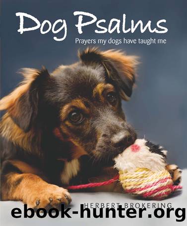 Dog Psalms by Herbert Brokering