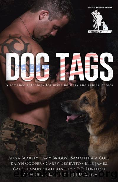 Dog Tags by unknow