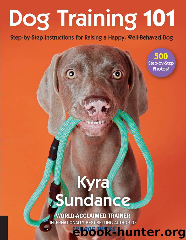 Dog Training 101 by Kyra Sundance