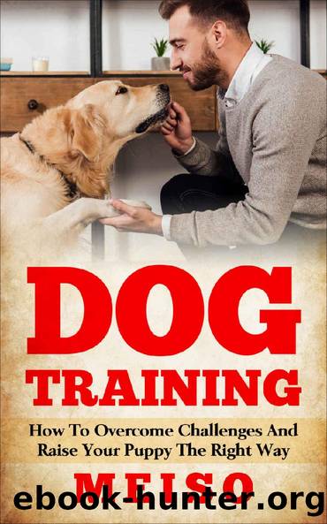 Dog Training: How To Overcome Challenges And Raise Your Puppy The Right Way by Meiso