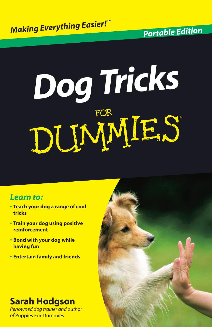 Dog Tricks for Dummies: Portable Edition by Sarah Hodgson