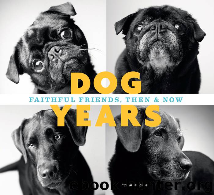 Dog Years by Amanda Jones