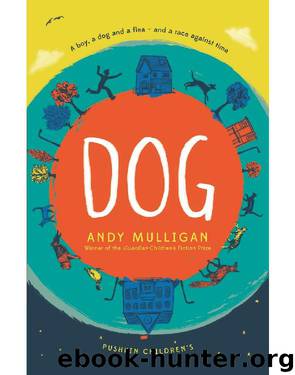 Dog by Andy Mulligan