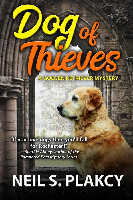 Dog of Thieves by Neil S. Plakcy