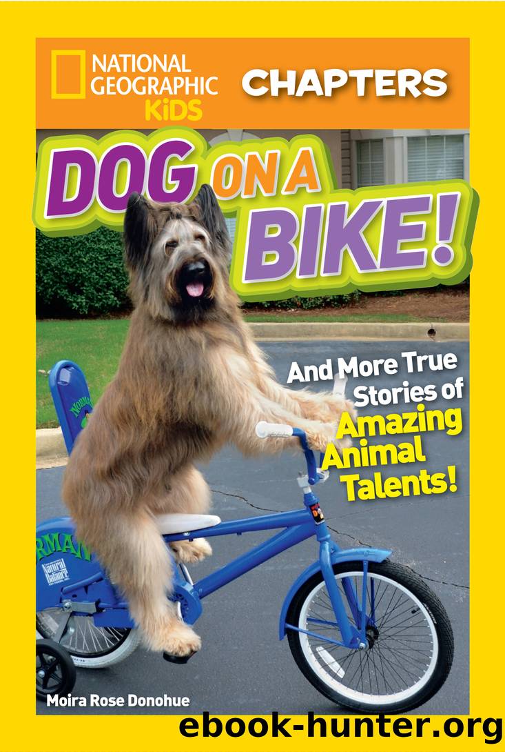 Dog on a Bike by Moira Rose Donohue