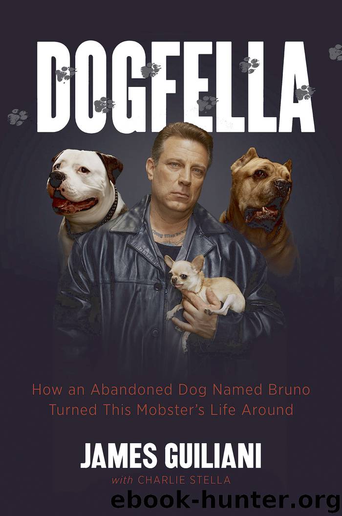 Dogfella by James Guiliani