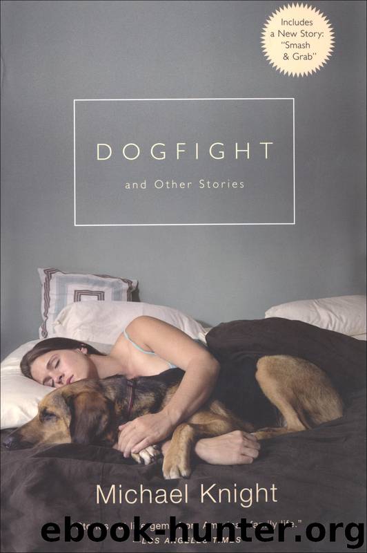 Dogfight by Michael Knight