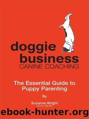 Doggie Business Canine Coaching by Suzanne Wright