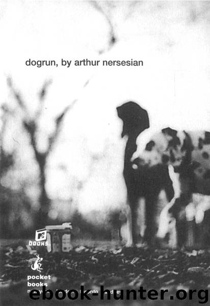 Dogrun by Arthur Nersesian