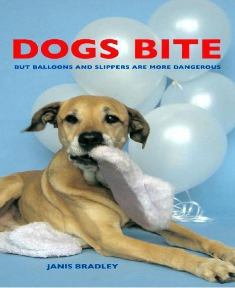 Dogs Bite: But Balloons and Slippers Are More Dangerous by Janis Bradley