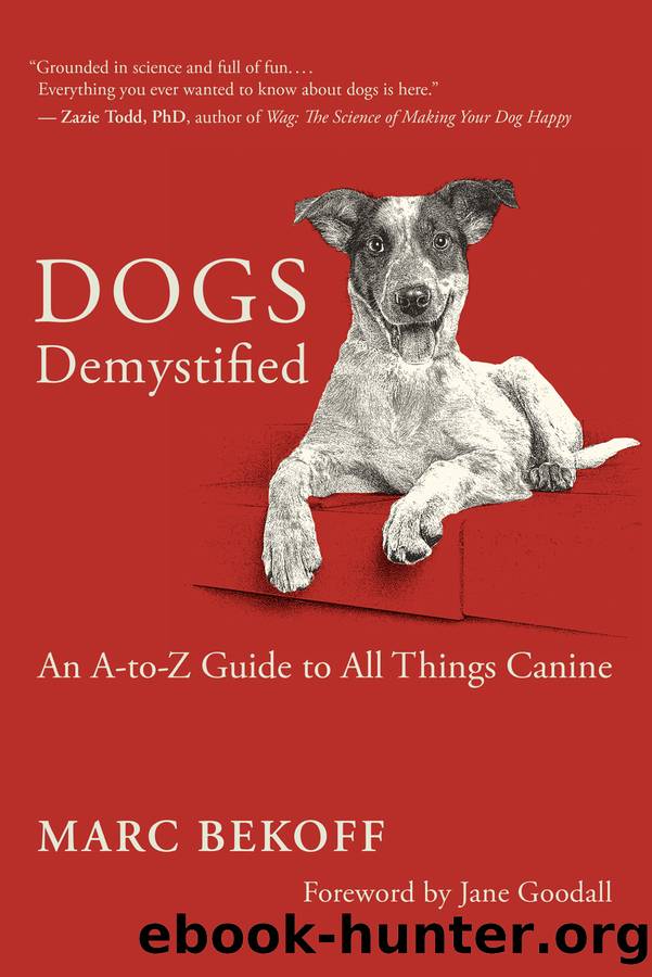 Dogs Demystified by Marc Bekoff