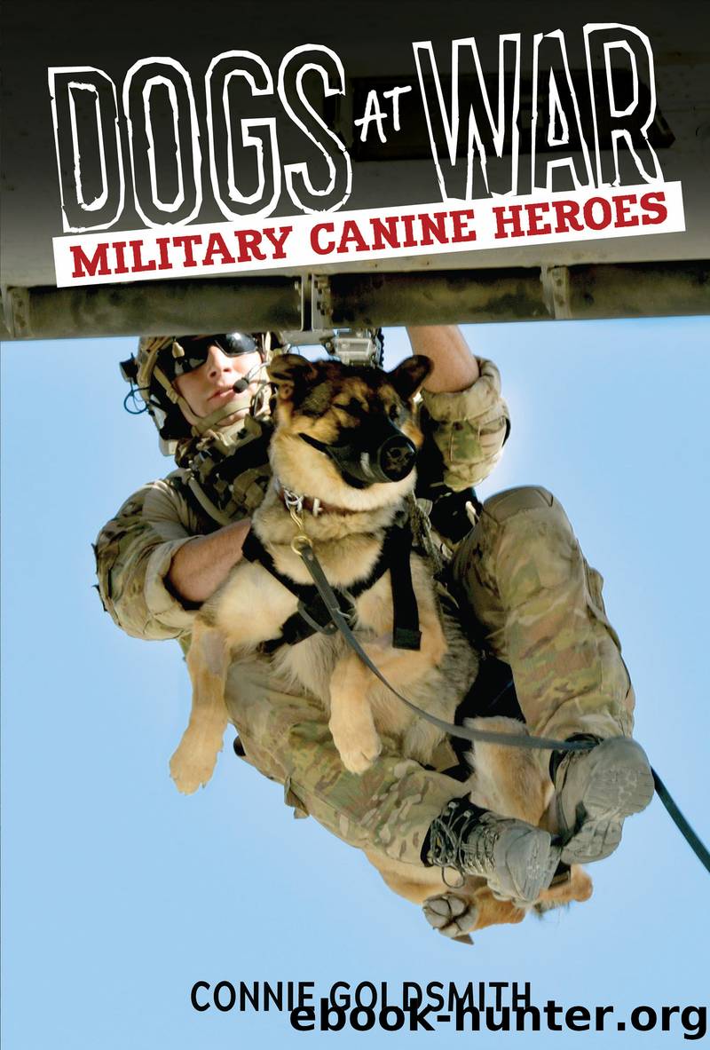 Dogs at War: Military Canine Heroes by Connie Goldsmith