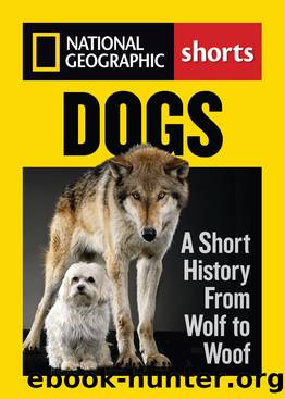 Dogs by Evan Ratliff