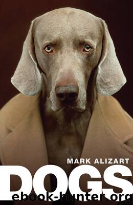 Dogs by Mark Alizart