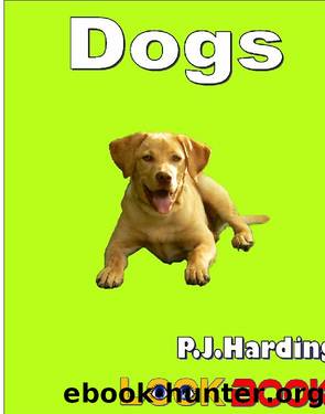 Dogs by P.J.Harding