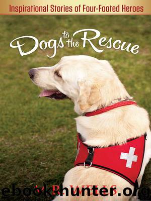 Dogs to the Rescue by M.R. Wells